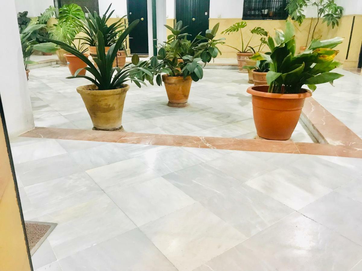 Los Patios De La Juderia Севиля Екстериор снимка